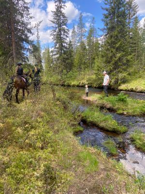 Lägenhet i lugn miljö, även långtidsuthyrning - Bild 6