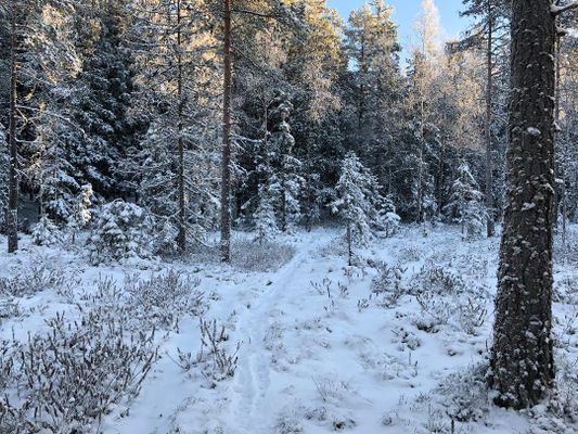 Mysig stuga med sjöutsikt, inkl. båt och brygga - Bild 20