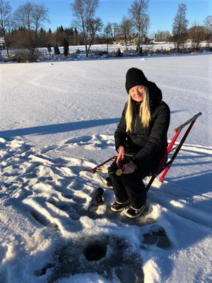 Mysig stuga med sjöutsikt, inkl. båt och brygga - Bild 21