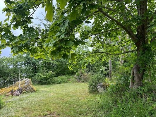Huset på berget - Bild 17
