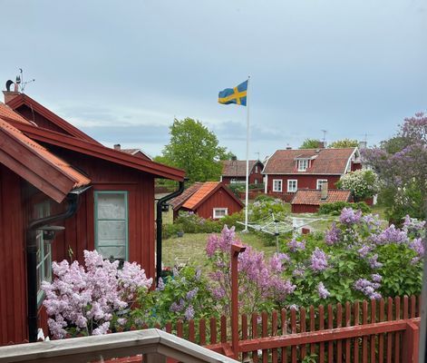 Utsikt från köksfönster