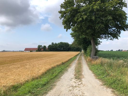 Drängstugan med utsikt över åkrarna - Bild 17