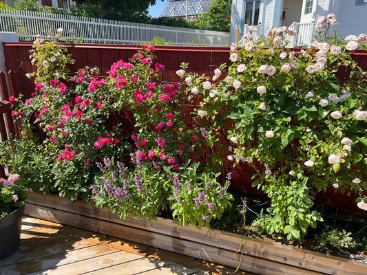 Mysig stuga med toppenläge! - Bild 7