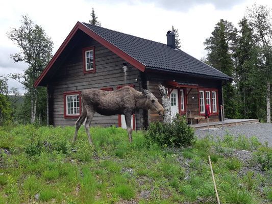 Hyr denna stuga i Grövelsjön på 80 m². 6 sängplatser. 7 000 - 14 000 kr per vecka. Se bilder och tillgänglighet här.