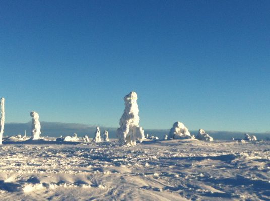 ⭐️ REA-Låga Sommarpriser och Vinter 2026, SÄLEN - Bild 39