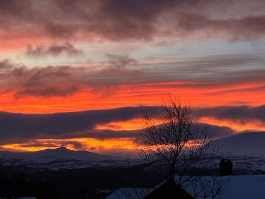 Magisk panorama utsikt (830möh) - söderläge - Bild 28
