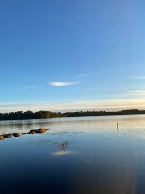 Mysig stuga i NV Skåne - Bild 22