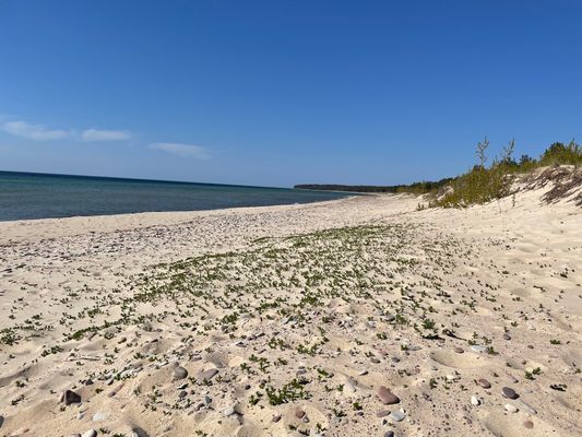 Sandstranden i Byrum Sandvik