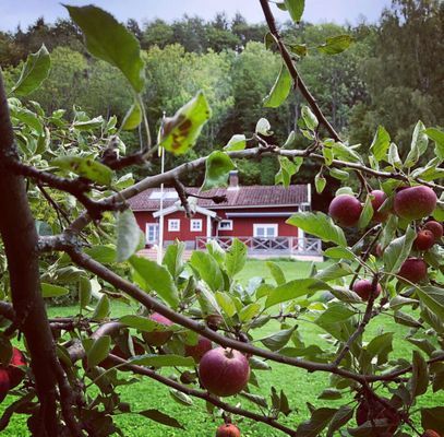 Stuga/Torp 6 km norr om Gränna - Bild 6