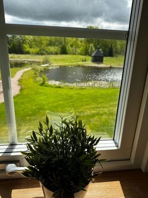 Bild 4 på Avskilt läge med närhet till Österlen
