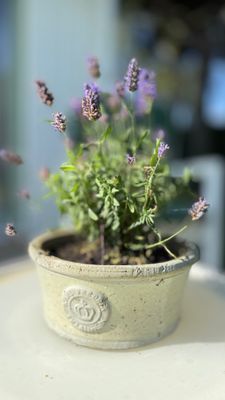 Gästhus i Falsterbo - Bild 9