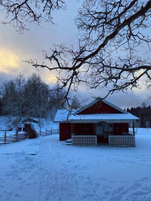 Mysig stuga på landet, 4-6 bäddar, hund välkommen - Bild 40