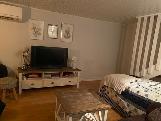 Mysig stuga på landet, 4-6 bäddar, hund välkommen - Bild 24