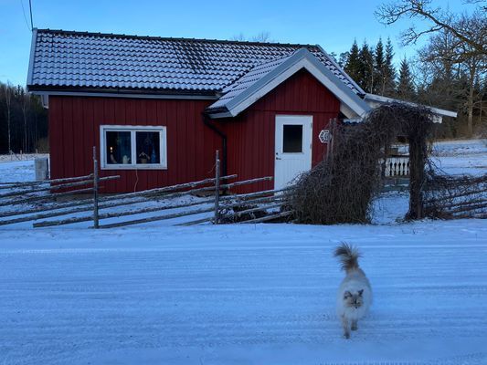 Mysig stuga på landet, 4-6 bäddar, hund välkommen - Bild 39
