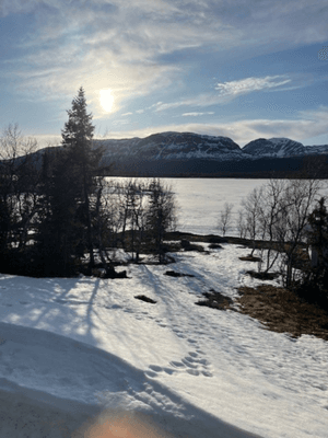 Drömstuga i Marsliden -sjöutsikt, bastu, och kamin - Bild 7