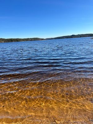 Sjönära gästhus i Verveln – bad 100 m bort - Bild 9