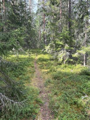 Sjönära gästhus i Verveln – bad 100 m bort - Bild 10