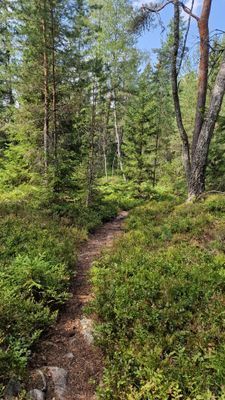 Kombinera Stockholm och njut av naturen - Bild 15
