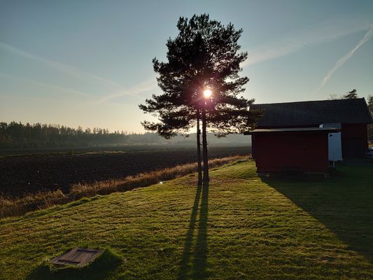 Charmig stuga med naturen runt husknuten | SE08008 - Bild 8