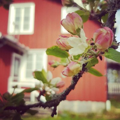 Välkommen att boka Sörgården!