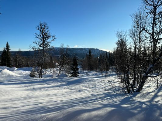 Stuga med underbar utsikt över Funäsdalsberget - Bild 13