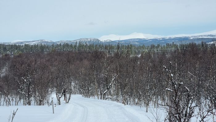 Stuga med underbar utsikt över Funäsdalsberget - Bild 26