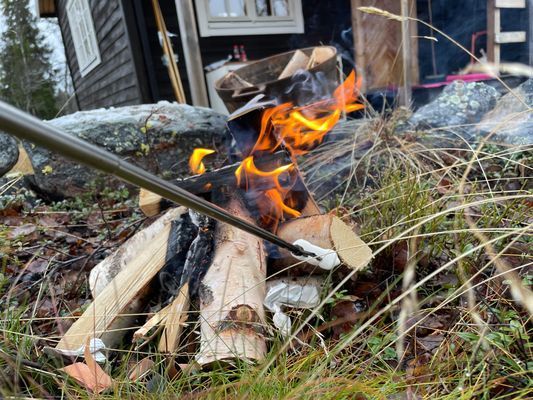 Genuin fjällstuga med skidspår från knuten - Bild 11
