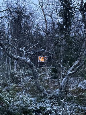 Genuin fjällstuga med skidspår från knuten - Bild 17