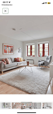 Charmigt parhus mellan Falsterbo och Skanör - Bild 9