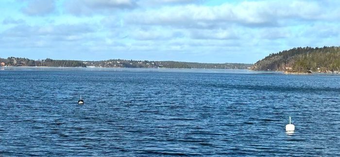 Älgö Saltsjöbaden. Havsutsikt, privat brygga - Bild 13