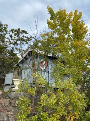 Sjöställe - Bild 13