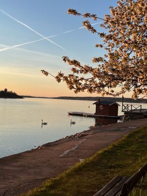 Haghulta 2 Värmdö. Nära hav, skog, vandringsleder - Bild 6