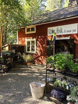 Stuga på skärgårdsön Torö med strand nedanför! - Bild 32