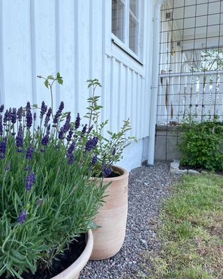 Bild 3 på Vackert fritidshus på Öland för långtidsuthyrning