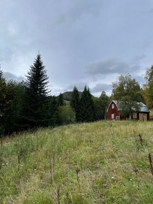 Sadel express och Högåsliften