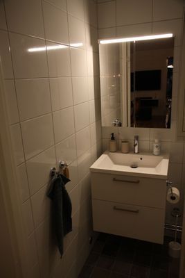 Handfatet och badrumsskåpet i det övre badrummet.