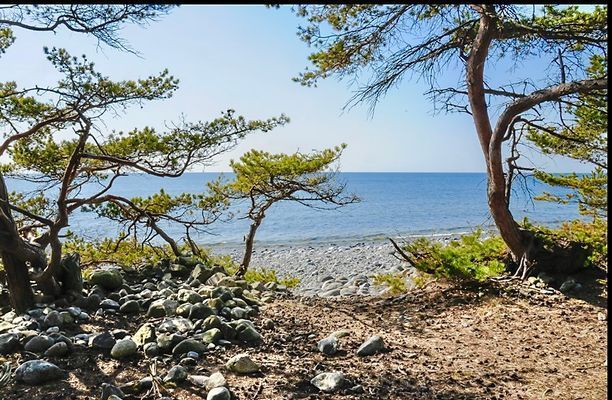 Stuga på skärgårdsön Torö med strand nedanför! - Bild 30
