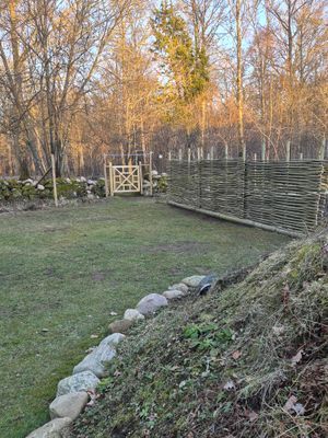 Direkt utgång till skogen