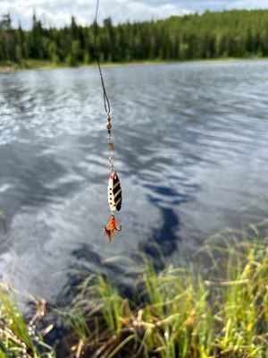 Boende i Björnrike med 3 sovrum - Bild 22