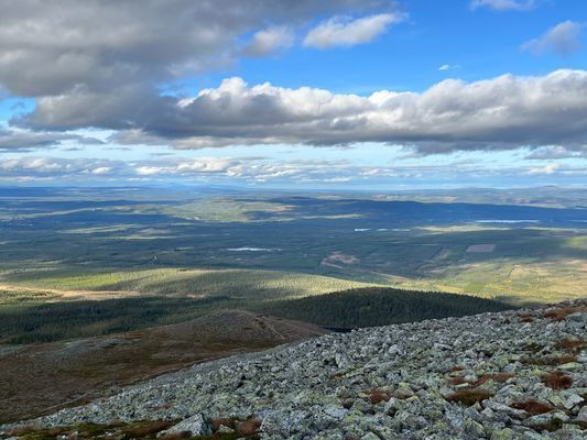 Boende i Björnrike med 3 sovrum - Bild 21