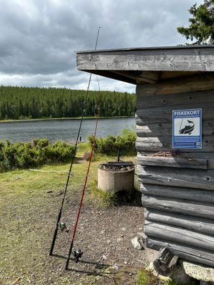 Boende i Björnrike med 3 sovrum - Bild 23