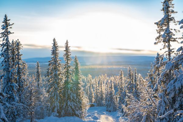 Lillnästet - Bild 38