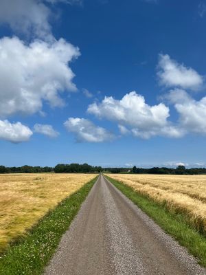 Sommarhus nära bad och golf på Skäret/Kullahalvön - Bild 12