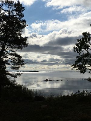 Mysig stuga i skärgården vid Figeholm - Bild 14
