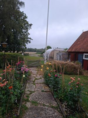 Härligt gammalt hus på landsbygd - Bild 14