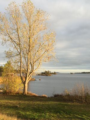 Mysig stuga i skärgården vid Figeholm - Bild 17