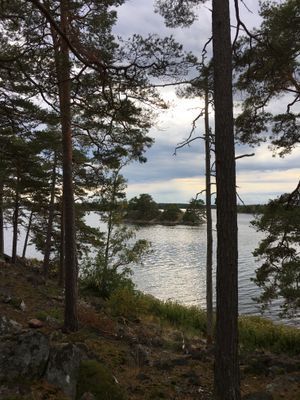 Mysig stuga i skärgården vid Figeholm - Bild 21