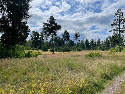 Mysig stuga i skärgården vid Figeholm - Bild 19
