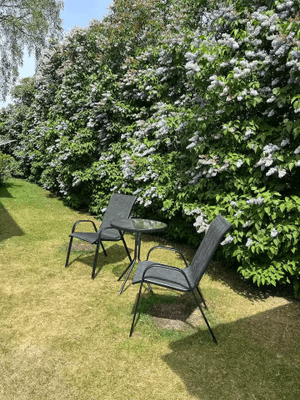 Nära staden. Nära havet. - Bild 8