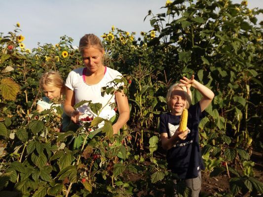Bo på vår sparrisgård och upptäck Kullabygden! - Bild 14